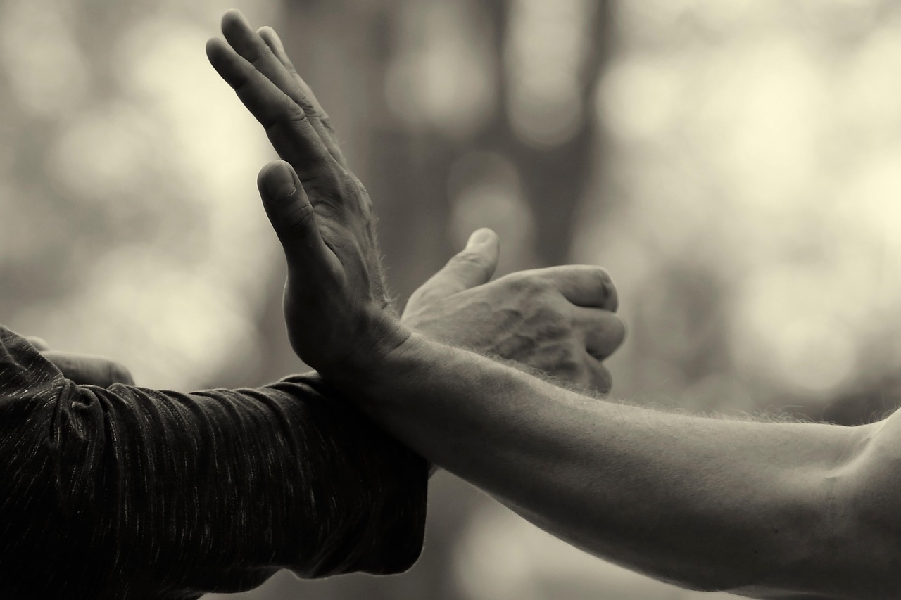 Nicole hands, martial arts, qi gong, taiji, tai chi, martial arts, martial arts, martial arts, qi gong, tai chi, tai chi, tai chi, tai chi, tai chi